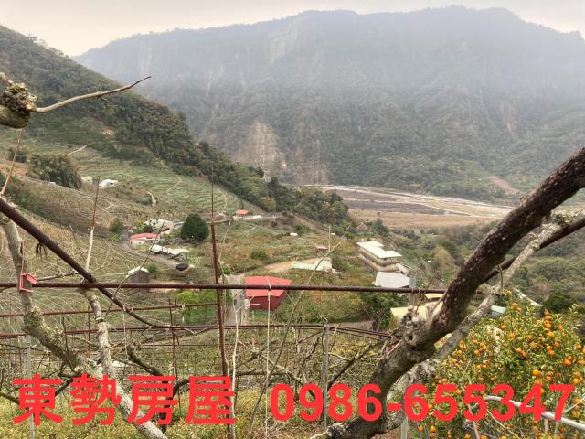 和平農地-12