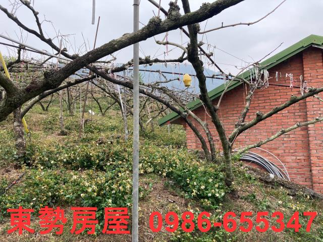 和平農地-8