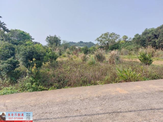 苗栗農地-3