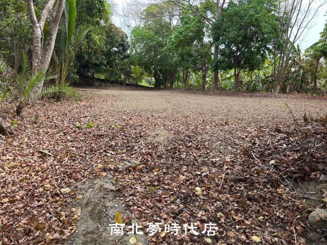 台南左鎮農地建地-4