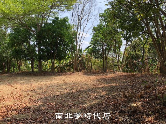 台南左鎮農地建地-6