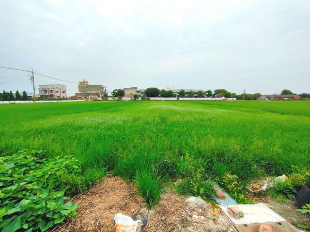 彰化埔鹽農地-3