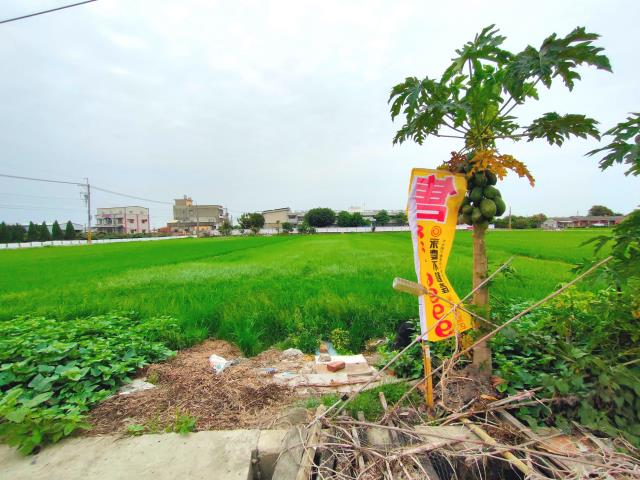 彰化埔鹽農地-1