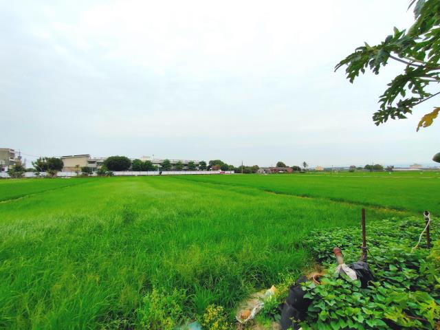 彰化埔鹽農地-4