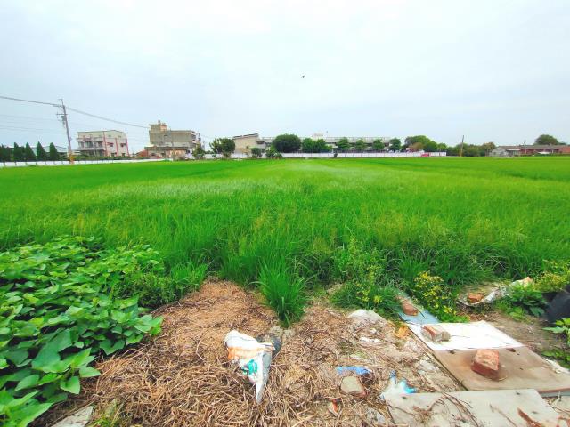 彰化埔鹽農地-5