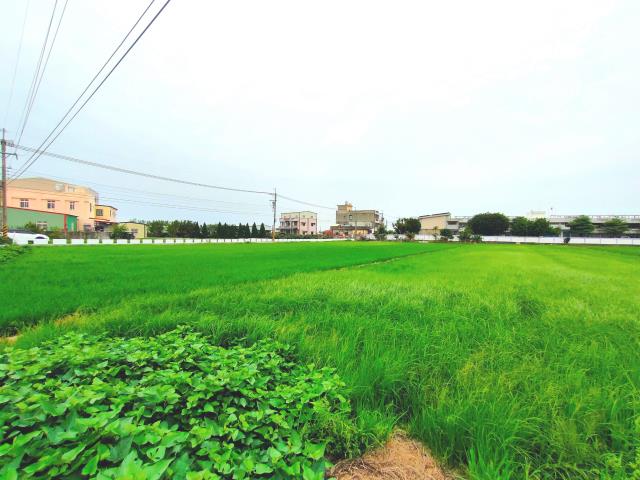 彰化埔鹽農地-6
