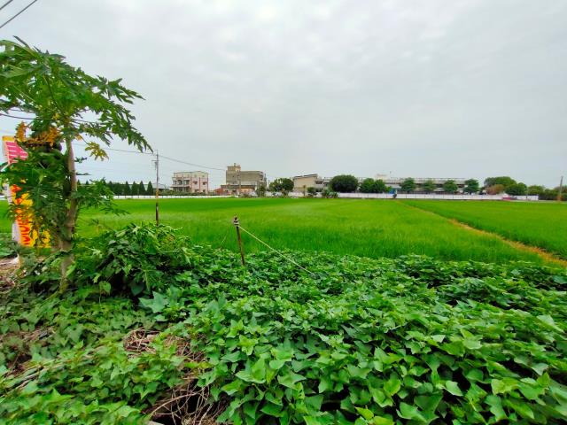 彰化埔鹽農地-7