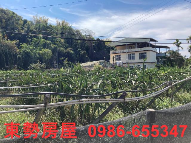 東勢農地-14