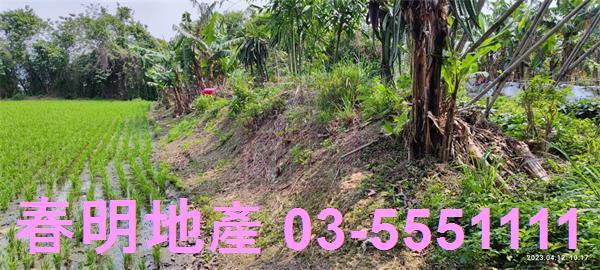新竹農地-10