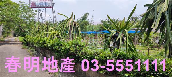 新竹農地-12