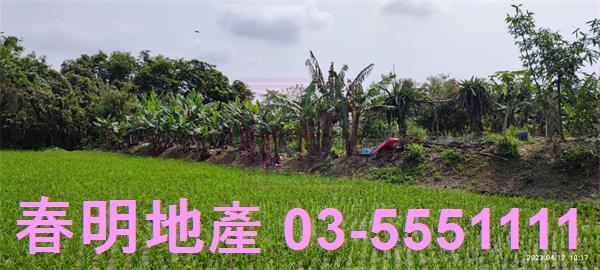 新竹農地-13