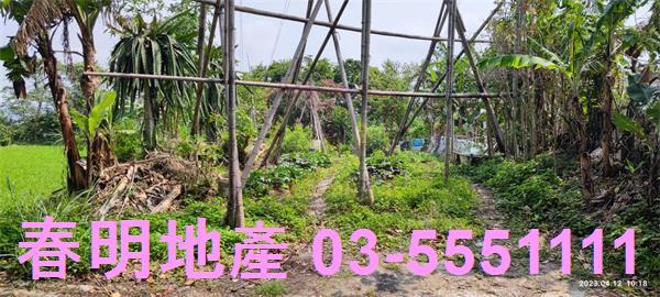 新竹農地-14