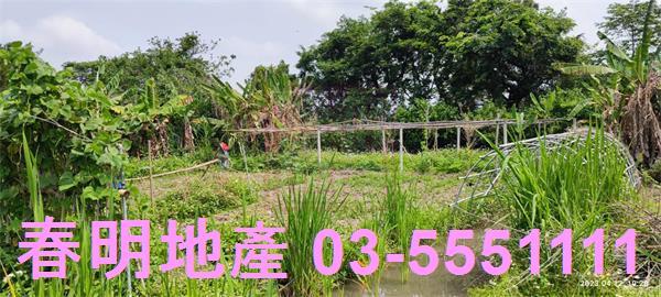 新竹農地-2
