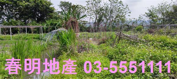 新竹農地-3