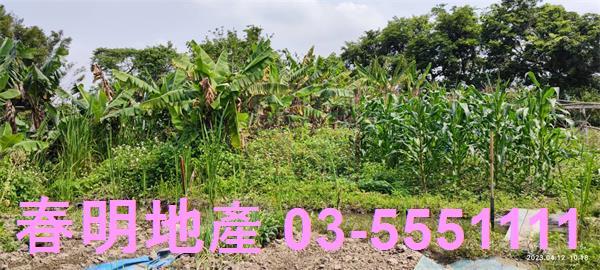 新竹農地-4