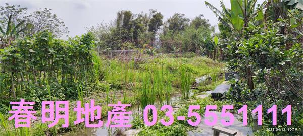 新竹農地-5