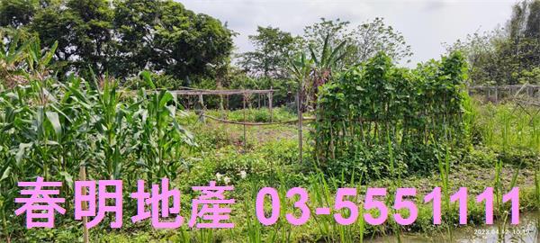 新竹農地-6
