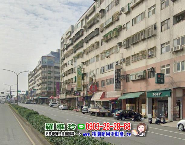 桃園大園農地-3