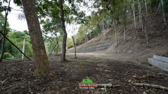 新竹北埔農地-10