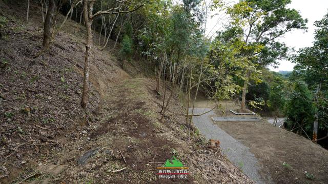 新竹北埔農地-13