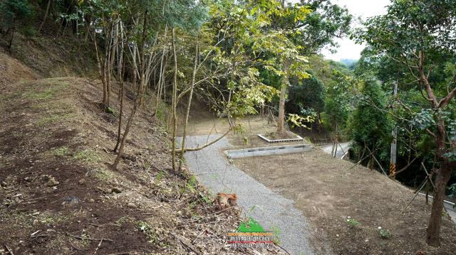 新竹北埔農地-14