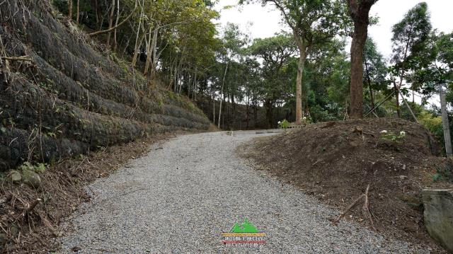 新竹北埔農地-15