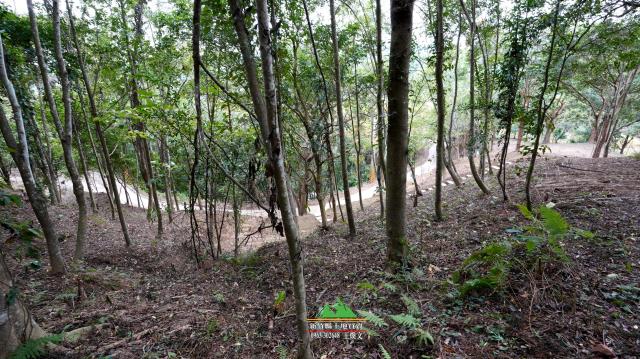 新竹北埔農地-2