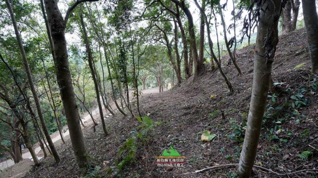 新竹北埔農地-3