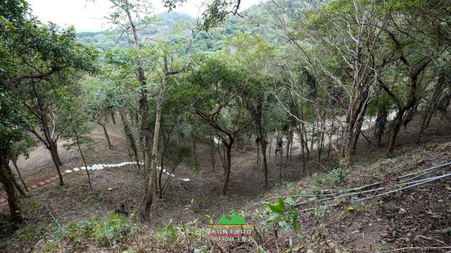 新竹北埔農地-5