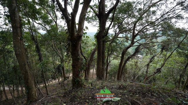 新竹北埔農地-6