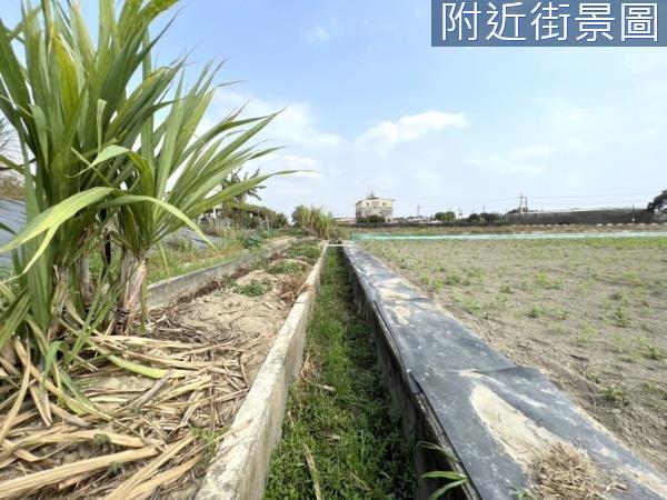 新化農地-8