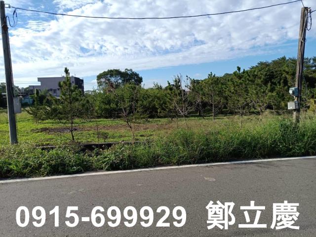 桃園農地-3