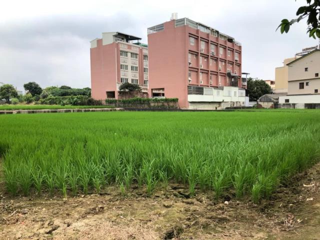 台中大雅農地-5