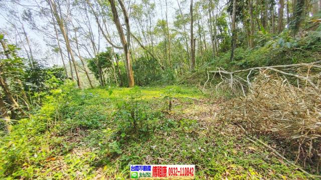 北埔休閒地-14