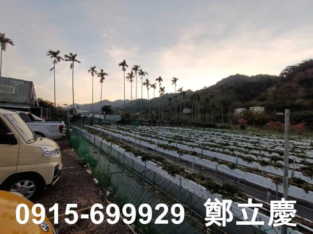 大湖農地-2