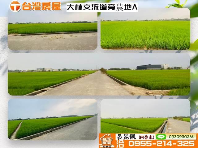 大林農地-1