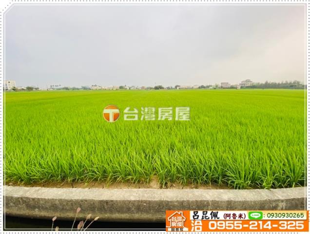 大林農地-2