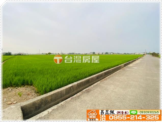 大林農地-4