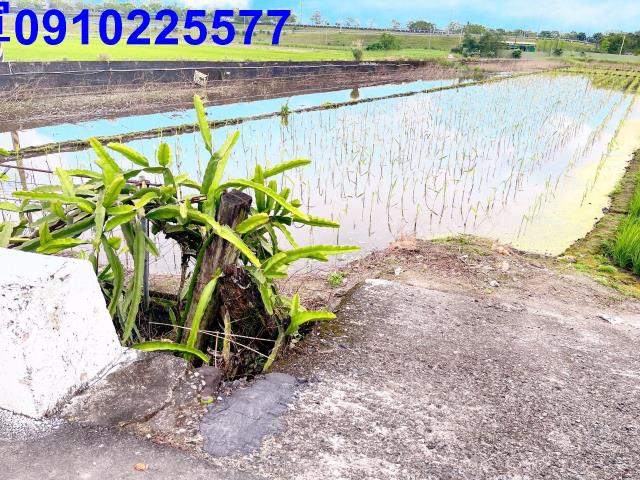 宜蘭礁溪農地-15