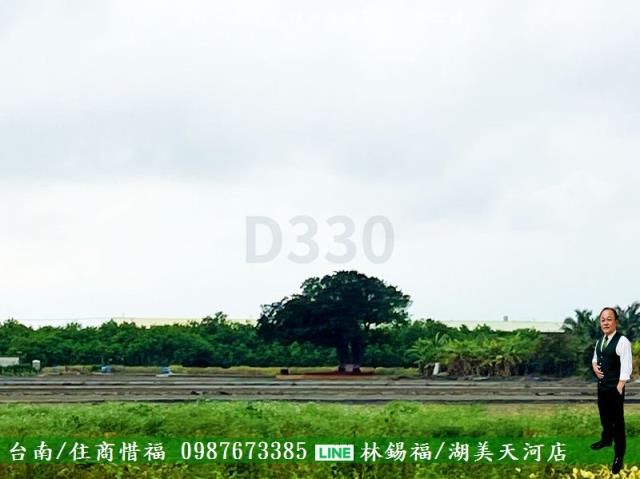 安南農地-9