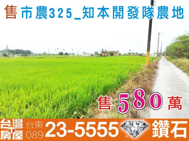 台東台東市農地-1