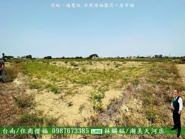 新市農地-1