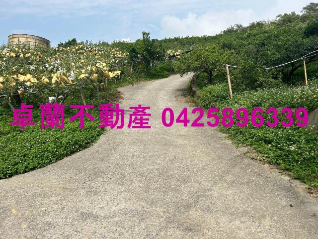 卓蘭農地-2