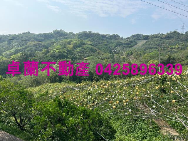 卓蘭農地-3