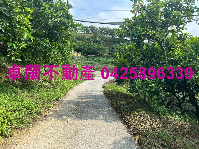 卓蘭農地-5