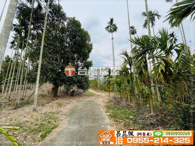 中埔農地-2