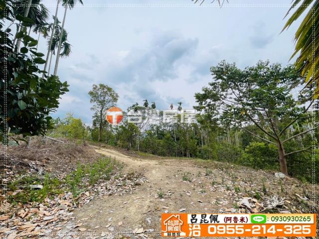 中埔農地-3