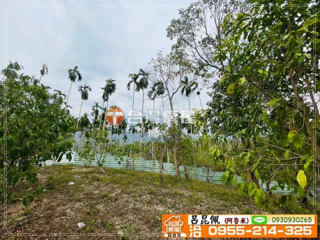 中埔農地-7