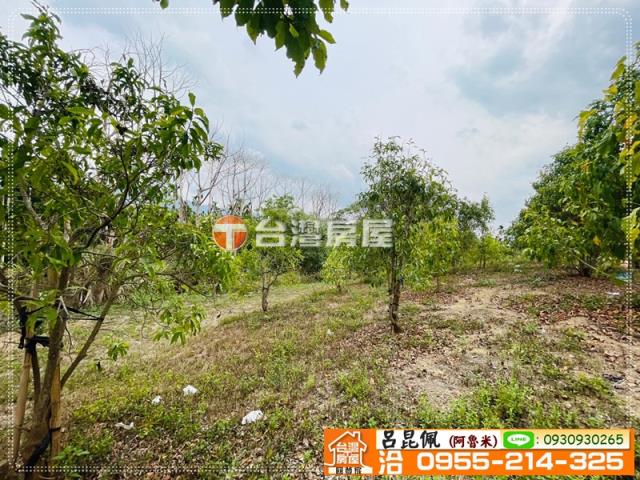 中埔農地-9