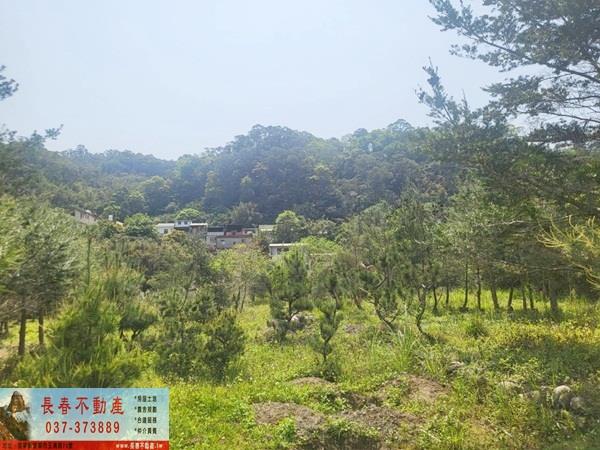 苗栗農地-1